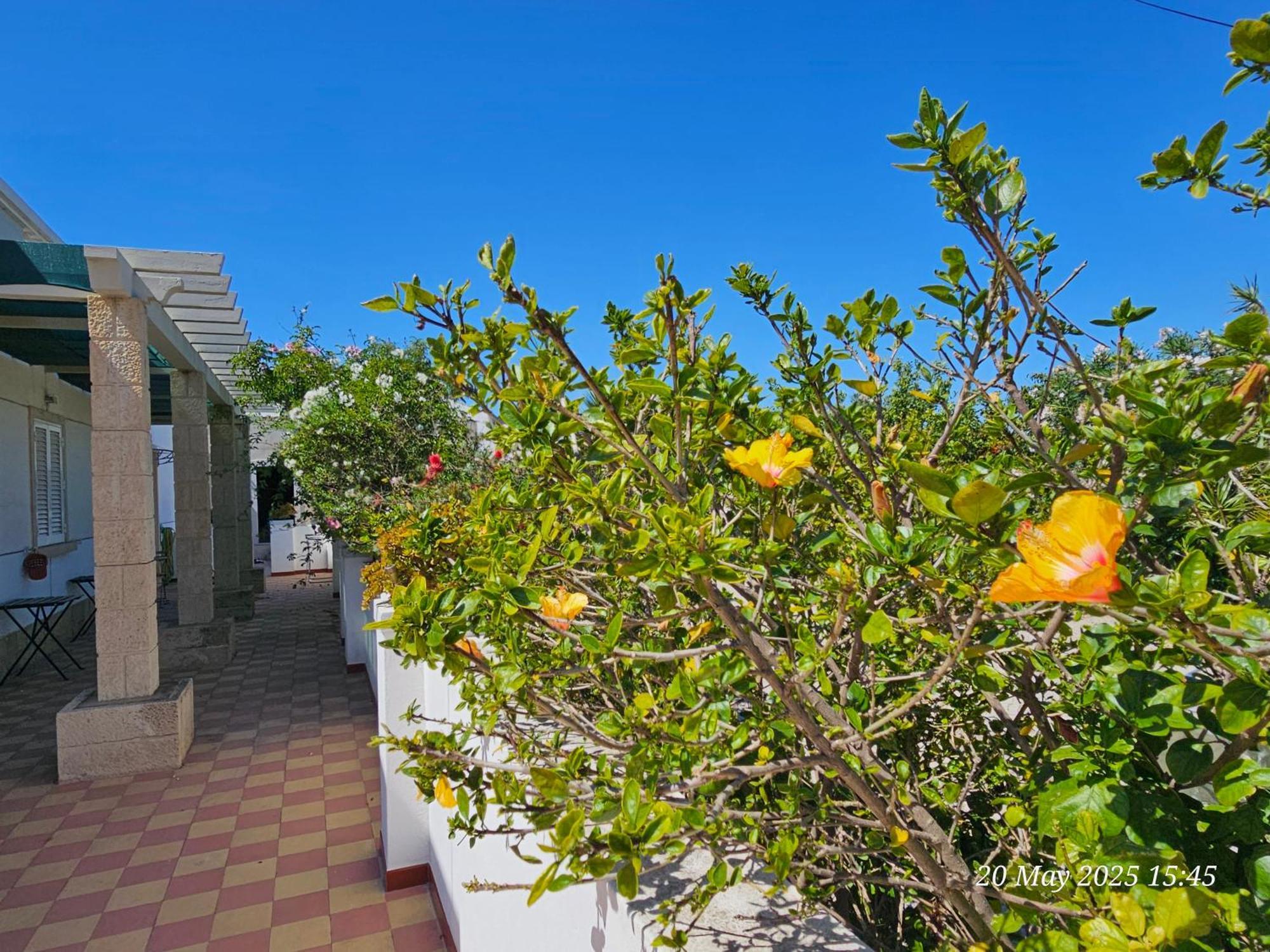 Blife Salinya Private At N125 Olhão